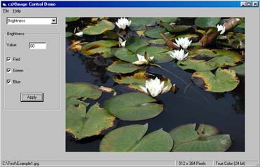 Visual Basic ActiveX image edit demo