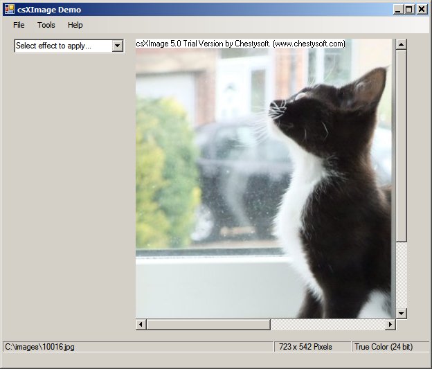 Visual Basic ActiveX image edit demo